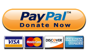 paypal donate button high quality png