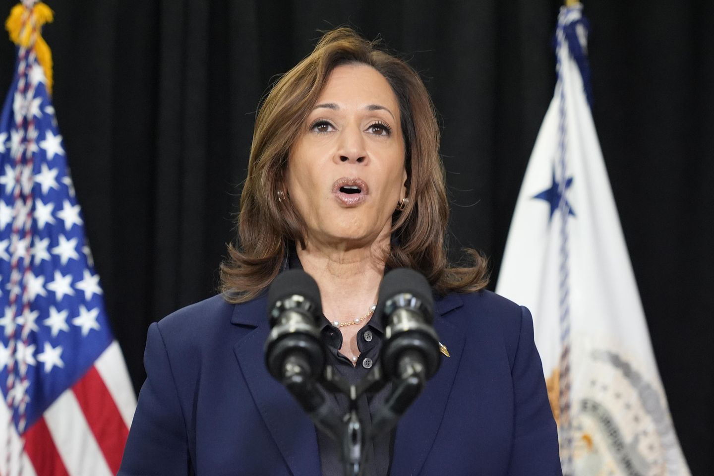 Election 2024 Harris 74059 s1440x960 3s2PJK